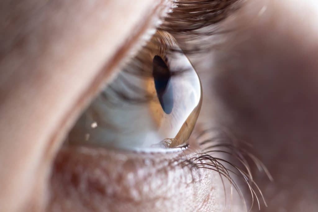 Side profile of the cornea