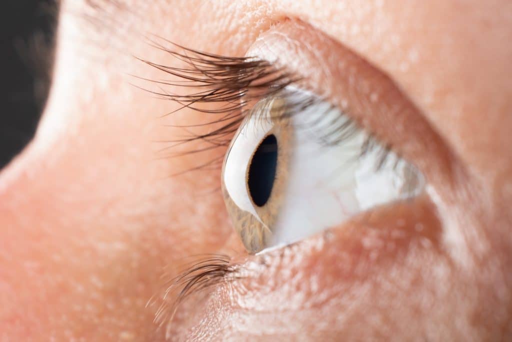 Side view of the curved cornea