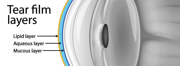Tear film layers